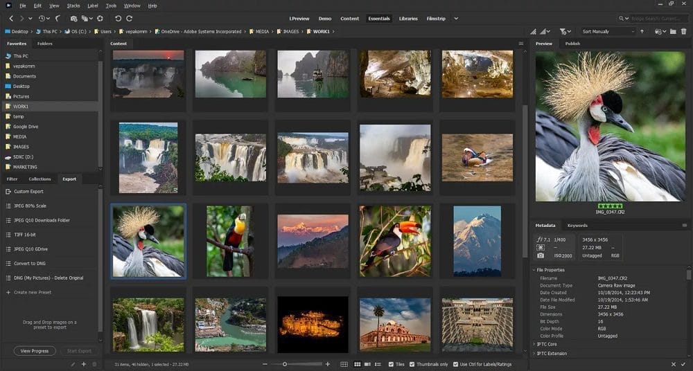 หน้าจอการใช้งานของโปรแกรม Adobe Bridge 2025 v15.1.7