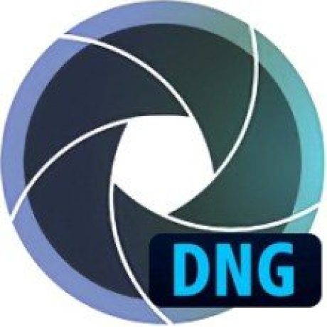 dng-logo-4296200