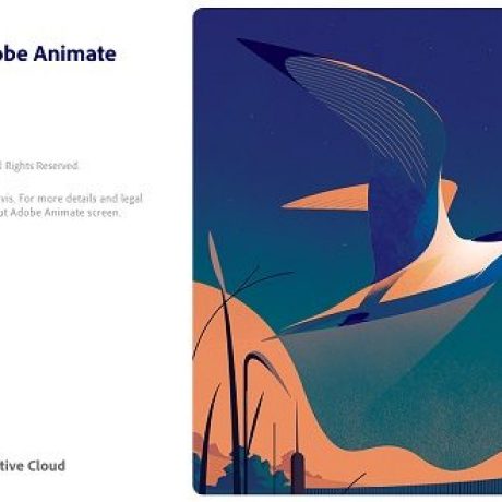 adobe-animate-2021-2583458