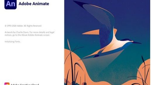 adobe-animate-2021-2583458